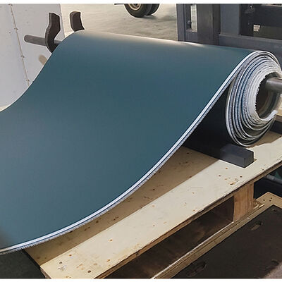 قیمت خوب کمربند حمل کننده PVC با قدرت بالا